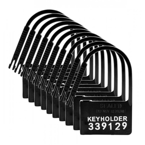 Master Series «Keyholder» Nummerierte Plastik-Schlösser für Keuschheitsgürtel, 10 Stück