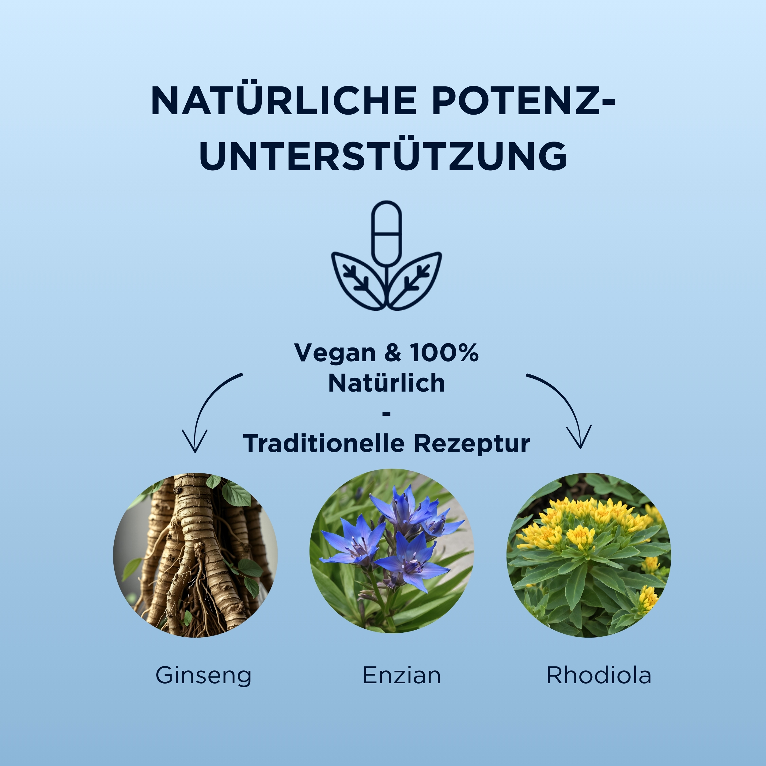 Mister Size «Easy Erect» 5 Kapseln für Männer zur Erektionssteigerung, vegan, halal